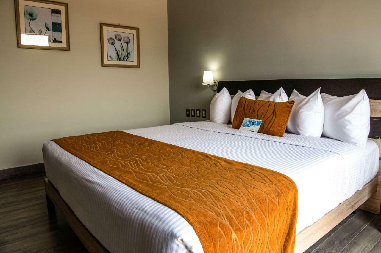 Comfort Inn Irapuato Εξωτερικό φωτογραφία